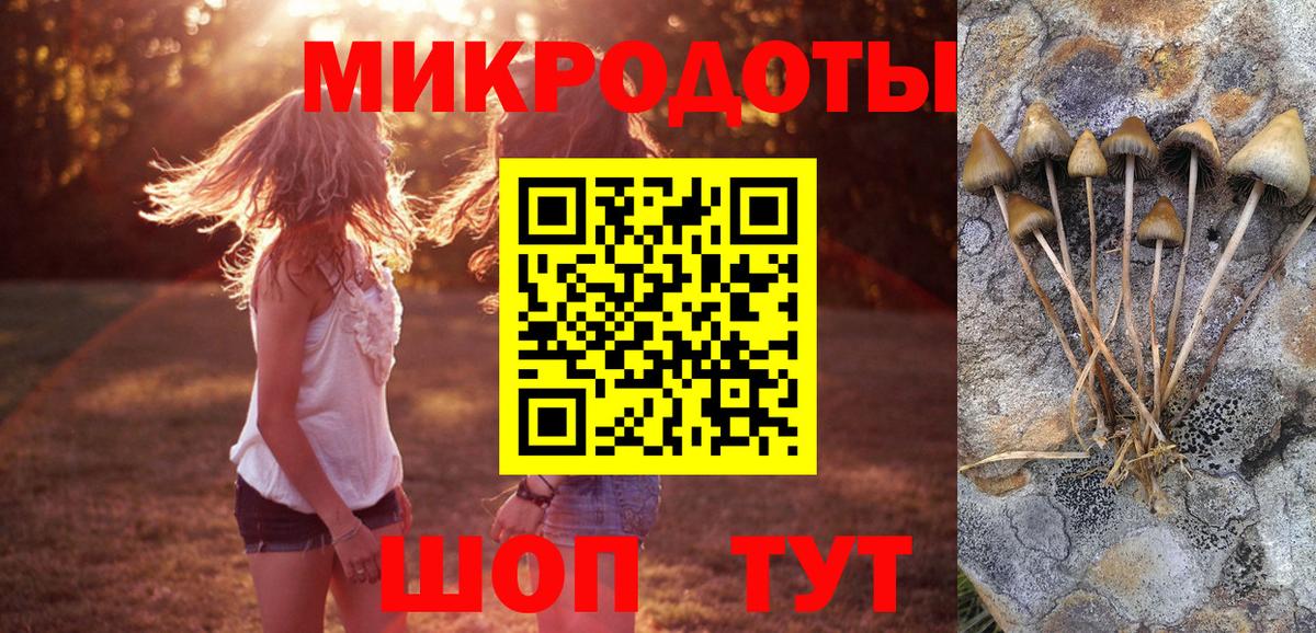 Галлюциногенные грибы Magic Shrooms Севастополь