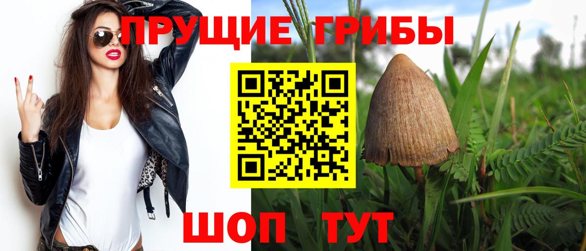 Севастополь  Галлюциногенные грибы ЛСД  Псилоцибиновые грибы GOLDEN TEACHER  Вход с VPN 